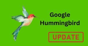 Google Hummingbird Update