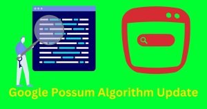 Google Possum Update